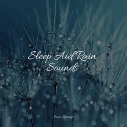 Sleep Aid Rain Sounds - Relaxing Nature Music