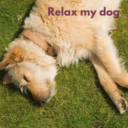 Dog Chill - Music For Dogs Peace
