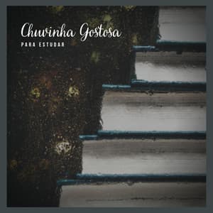 Chuvinha Gostosa para Estudar - Musicas para Estudar Collective