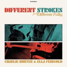 Different Strokes for Different Folks - Charlie Hunter