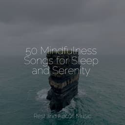 50 Mindfulness Songs for Sleep and Serenity - Deep Focus