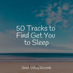50 Tracks to Find Get You to Sleep - Fabricantes De Lluvia
