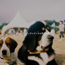 チル・パウズ・アンド・メロディーズ - Coffee House Smooth Jazz Playlist