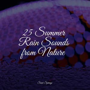 25 Summer Rain Sounds from Nature - Baby Lullabies Music