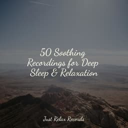 50 Soothing Recordings for Deep Sleep & Relaxation - Relaxed Minds