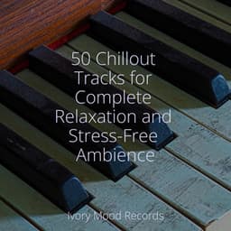 50 Chillout Tracks for Complete Relaxation and Stress-Free Ambience - Bedtime Lullabies
