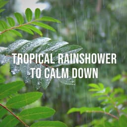 Tropical Rainshower to Calm Down - Calming Rain
