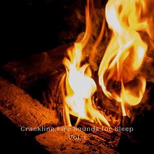 Crackling Fire Sounds for Sleep Vol. 1 - Fire Sounds