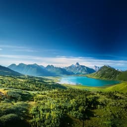 Ritmos Relajantes: Melodías Suaves Para Relajarse - La red de música tranquila