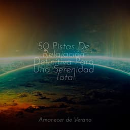 50 Pistas De Relajación Definitiva Para Una Serenidad Total - Musica de Piano Escuela