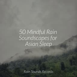 50 Mindful Rain Soundscapes for Asian Sleep - Canciones de Cuna para Bebés Acadèmico