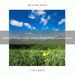 Sonidos Perfectos de Lluvia y Ruido Negro para Suenos - Ruido Blanco