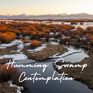 Humming Swamp Contemplation - Yoga Music Playlist
