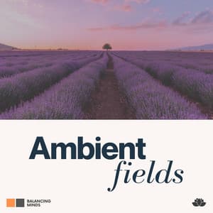 Ambient Fields - Ambient Music Collective