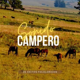 Sonido Campero - CDI RECORDS S.A.