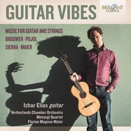 Guitar Vibes: Music for Guitar and Strings - Netherlands Chamber Orchestra