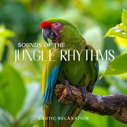 Sounds of the Jungle Rhythms: Exotic Relaxation - Exotic Area Zen
