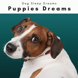 4 Puppies Dreams - Dog Sleep Dreams