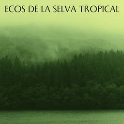 Ecos De La Selva Tropical - Sonidos relajantes de la selva tropical