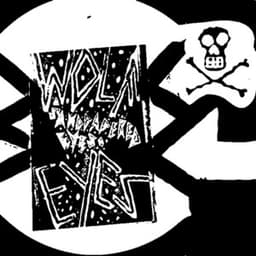 Sandpapered Eyes - Wolf Eyes