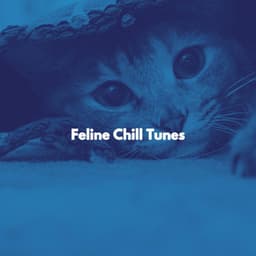 Feline Chill Tunes - Music for Stress Relief
