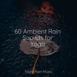 60 Ambient Rain Sounds for Yoga - Yoga Trainer