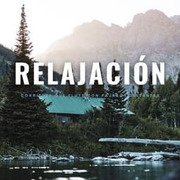 Relajación: Corriente Que Fluye Con Pájaros Distantes Vol. 1 - Grabaciones de campo de la naturaleza