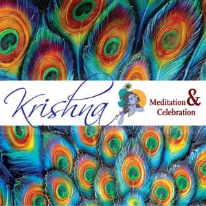 Krishna - Meditation And Celebration - Sanjeev Abhyankar