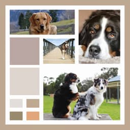 Extraordinary Ambiance for Sweet Dogs - Songs for Dogs to Sleep To