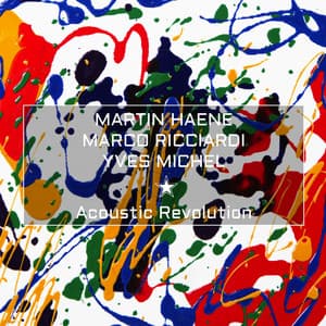 Acoustic Revolution - Martin Haene