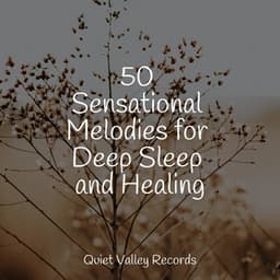50 Sensational Melodies for Deep Sleep and Healing - Calm Shores
