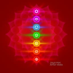 The Sacred Pulse of Seven Chakras - Jaya Hari