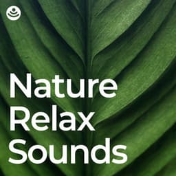 Nature Relax Sounds - Masala Roo