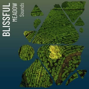 Blissful Meadow Sounds - Rest & Relax Nature Sounds Artists