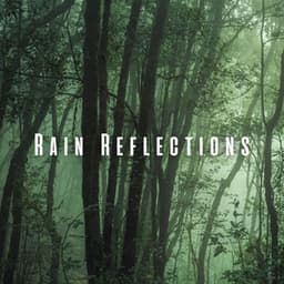 Rain Reflections: Forest Rain for Serene Sleep - Calm Rain Sounds