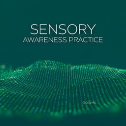 Sensory Awareness Practice - Goia Hz