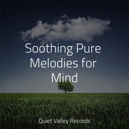 Soothing Pure Melodies for Mind - Ambient Rain