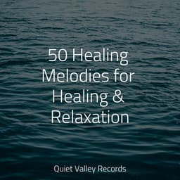 50 Healing Melodies for Healing & Relaxation - Water Soundscapes