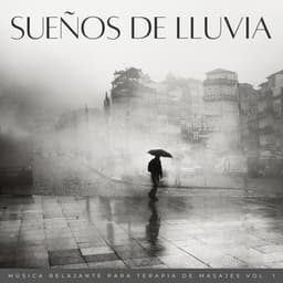 Sueños De Lluvia: Música Relajante Para Terapia De Masajes Vol. 1 - Sonido de lluvia ricky