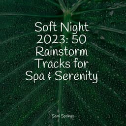Soft Night 2023: 50 Rainstorm Tracks for Spa & Serenity - Rain