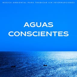 Aguas Conscientes: Música Ambiental Para Trabajar Sin Interrupciones - Aguas del diluvio