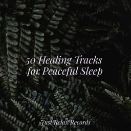 50 Healing Tracks for Peaceful Sleep - Shakuhachi Sakano