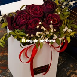 El regalo perfecto - Ruhige Morgenmusik Klassiker