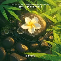 Spa & Massage V - Amazing Spa Music