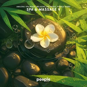 Spa & Massage V - Amazing Spa Music