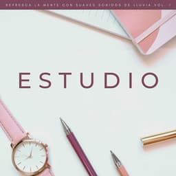 Estudio: Refresca La Mente Con Suaves Sonidos De Lluvia Vol. 1 - Palacio de la lluvia