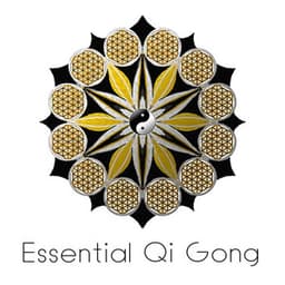 Essential Qi Gong: Feng Shui, Equilibrium, Mandalas, Yin & Yang - Yin Yang Music Zone