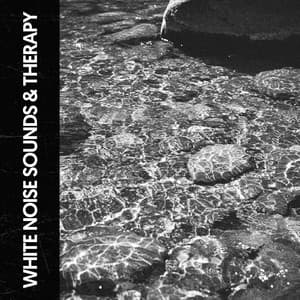 White Noise Sounds & Therapy: Spa Sleep Music - Ruido Blanco Hart