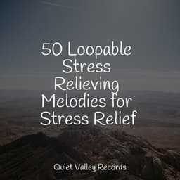 50 Loopable Stress Relieving Melodies for Stress Relief - White Noise Sleep Sounds