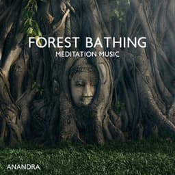 Forest Bathing Meditation Music: Shinrin-Yoku, Sink into Nature, Increase Happiness, Health, Vitality - Anandra